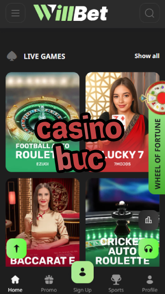 Casino BUC - Best US Casino for Real Money Gambling-www.bdqngd.com